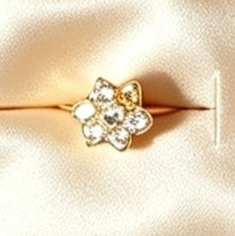 Elegant South Asian Gold Plated Nose Rings