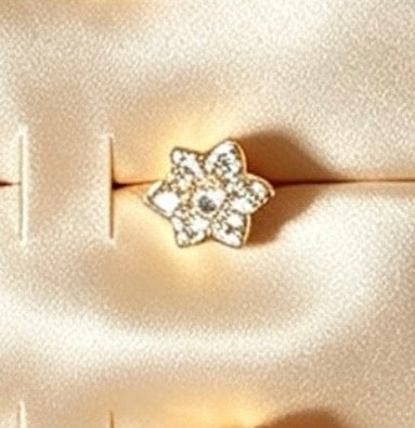 Elegant South Asian Gold Plated Nose Rings